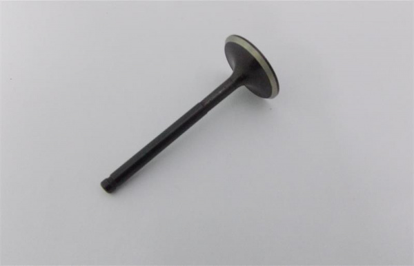 157QMJ032 Впускной клапан