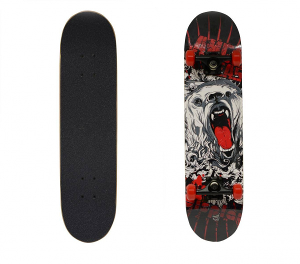 905S Скейтборд BlackAqua