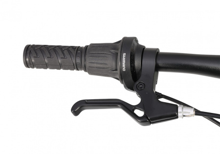 Велосипед Maxiscoo 5BIKE 20'' M200 (2025) Велосипед Maxiscoo 5BIKE 20'' M200 (2025)