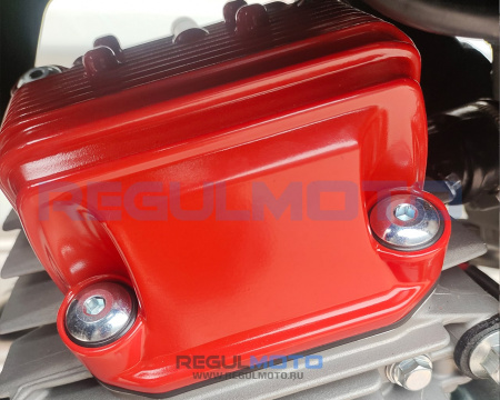 300014 Мотоцикл Regulmoto ZR PR 300 4 valves 6 Gear