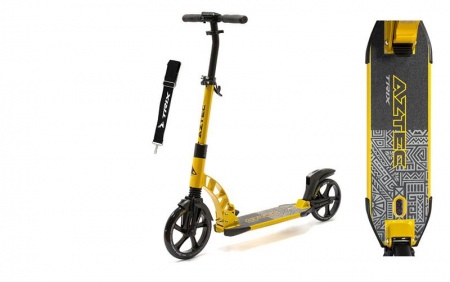 Самокат 2-х колесный Trix Aztec