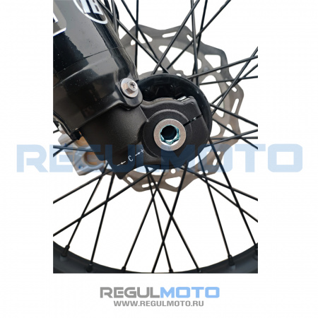 300302 Мотоцикл Regulmoto Sport-003 PR PRO 300 (4 valves) 6 передач
