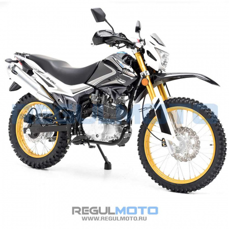 100007 Мотоцикл Regulmoto SK250GY-5