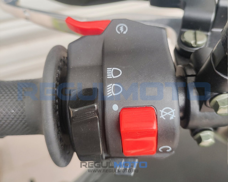 300014 Мотоцикл Regulmoto ZR PR 300 4 valves 6 Gear